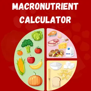 Illustration of a macronutrient food chart divided into sections for vegetables, proteins, dairy, and grains.